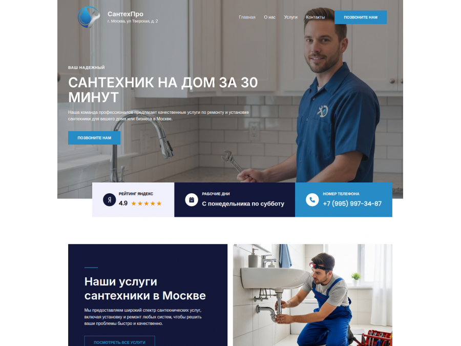 Готовый сайт для услуг по сантехническим работам Готовый сайт для услуг по сантехническим работам