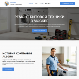 Ремонт бытовой техники Ремонт бытовой техники