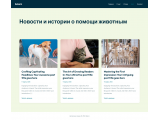 Готовый сайт для благотворительного фонда Готовый сайт для благотворительного фонда