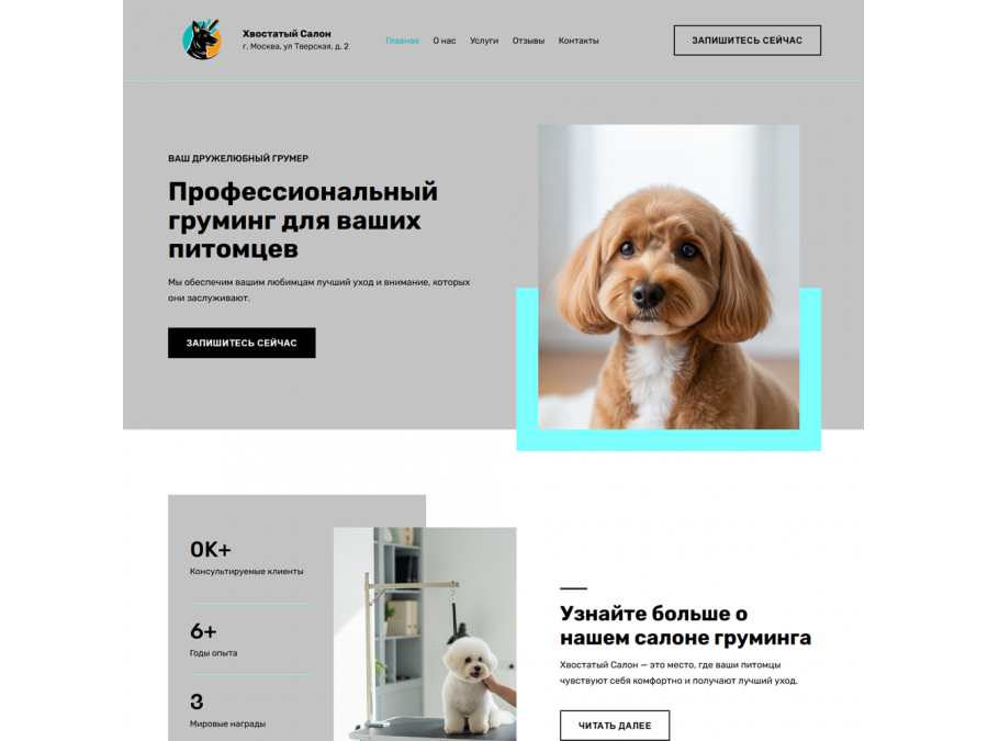 Готовый сайт по грумингу Готовый сайт по грумингу