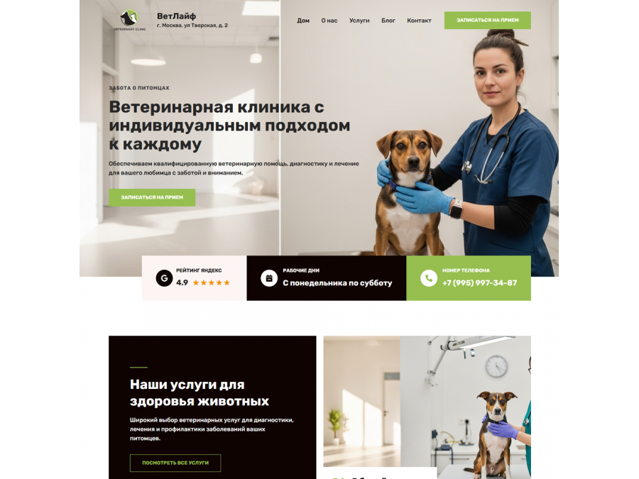Готовый сайт по ветеринарии Готовый сайт по ветеринарии