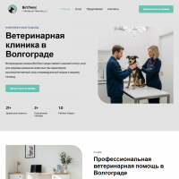 Сайт ветеринарной клиники для быстрого старта бизнеса